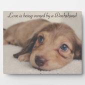 Liefde is eigendom van een Dachshund Fotoplaat (Voorkant)