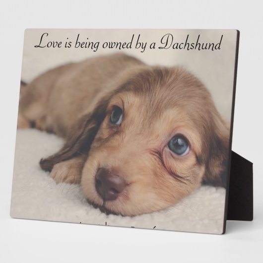 Liefde is eigendom van een Dachshund Fotoplaat (Zijkant)