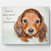 Liefde is eigendom van een Dachshund Fotoplaat (Voorkant)