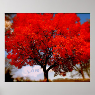 Liefde is in de lucht poster
