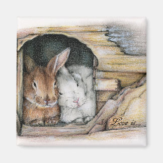 Liefde is... magneet