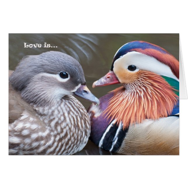 Liefde is... Mandarijnen (Voorkant Horizontaal)