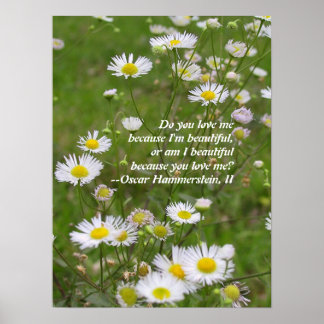 Liefde is mooi poster