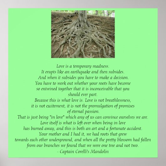 Liefde is... poster (Voorkant)