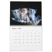 Liefde Katten Photo Wall Calendar Kalender (Feb 2026)