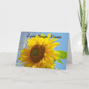 Liefde Knuffels Kus Kaarten Gele Zonnebloem Tuin