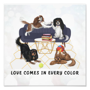 Liefde komt in elke kleur Cavalier King Charles Foto Afdruk