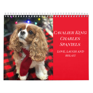 Liefde, lachen en ontspannen Cavalier King Charles Kalender