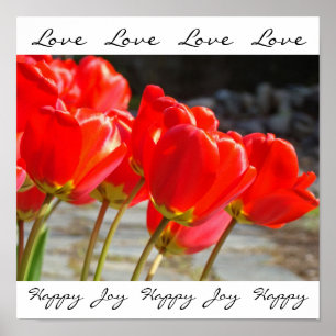 Liefde Liefde Liefde kunstprints Rode Tulp Bloemen Poster