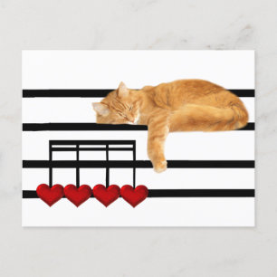 Liefde notities van de kat