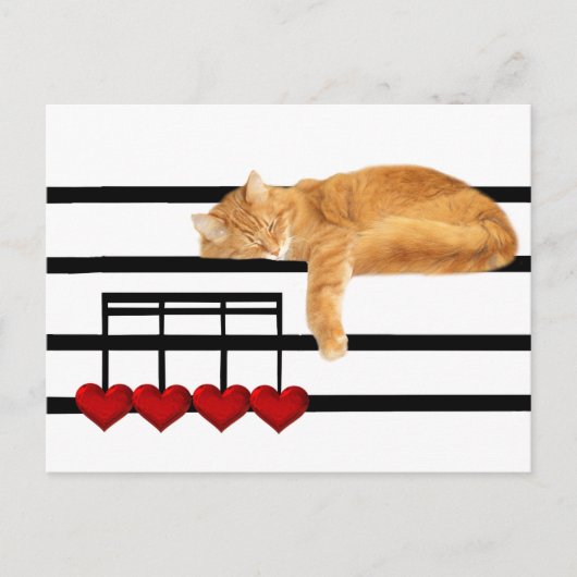 Liefde notities van de kat (Voorkant)