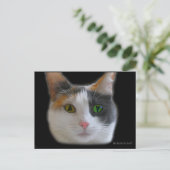 Liefde op het eerste Briefkaart (Staand voorkant)