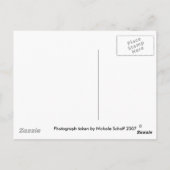 Liefde op het eerste Briefkaart (Achterkant)