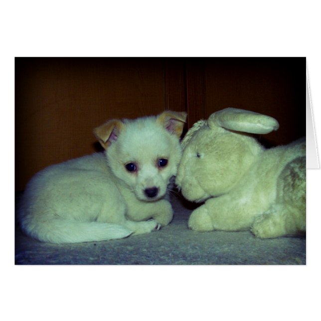 Liefde op het eerste gezicht (Voorkant Horizontaal)