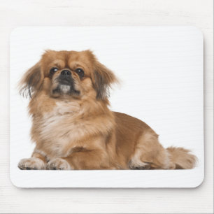 Liefde Pekingese Puppy Hond Muismat