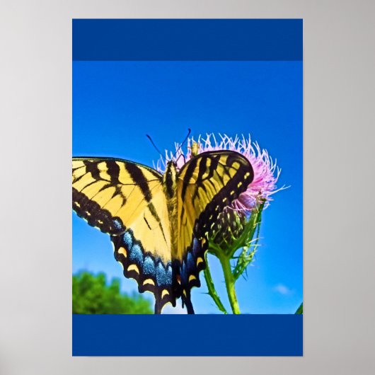 Liefde Poster (Voorkant)