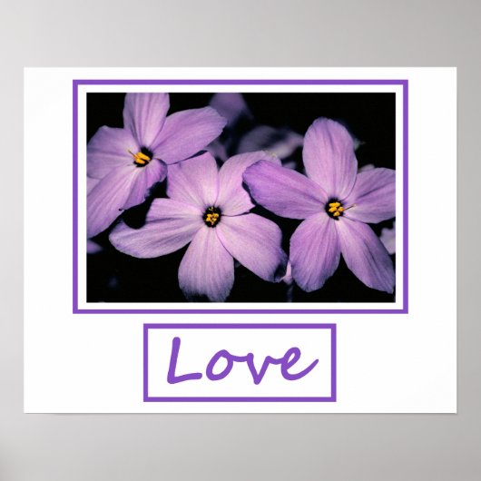 Liefde Poster (Voorkant)