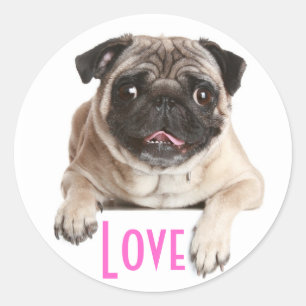 Liefde Pug Puppy Dog Groet Stickers