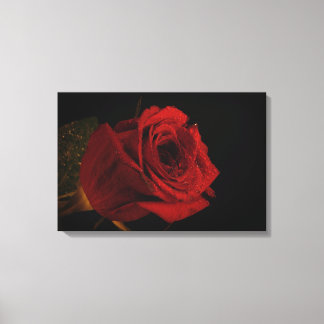 Liefde rode roos cadeau canvas afdruk