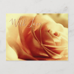 Liefde Roos Bloem Briefkaart