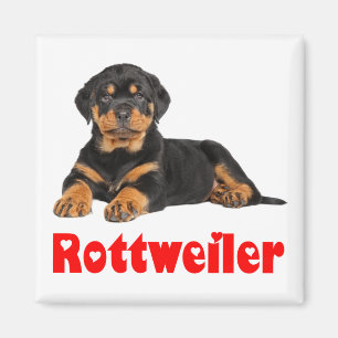 Liefde Rottweiler Brown & Black Puppy Dog Cartoon Magneet