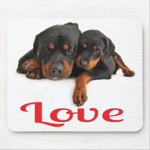 Liefde Rottweiler Puppy Hond Witte Muismat