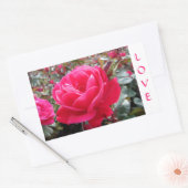 Liefde Roze Romance Roos Stickers (Envelop)