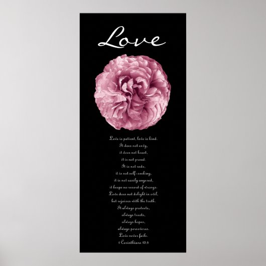 Liefde - Roze Rose Poster (Voorkant)