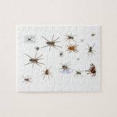 Liefde Spiders! Legpuzzel (Horizontaal)