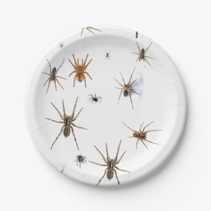 Liefde Spiders! Papieren Bordje