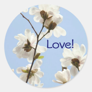Liefde stickers Witte Magnolia Bloemen Blauwe Luch