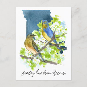 Liefde sturen Missouri Bluebirds Hawthorn Flower Briefkaart