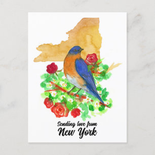 Liefde sturen New York Bluebird Red Roses Briefkaart