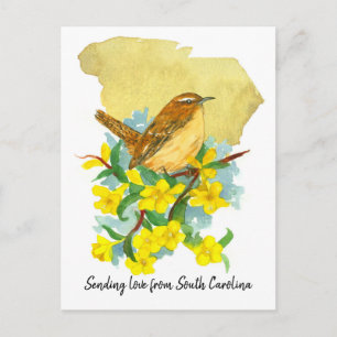 Liefde sturen South Carolina Wren Jessamine Briefkaart