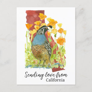 Liefde sturen vanuit California Quail Poppies Briefkaart