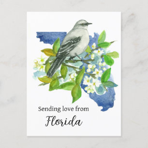 Liefde sturen vanuit Florida Mockingbird Sinaasapp Briefkaart
