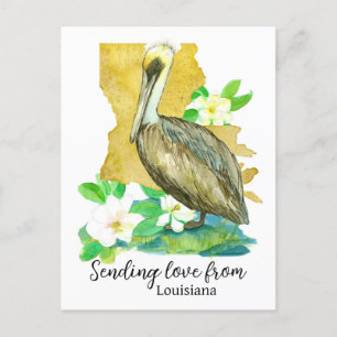 Liefde sturen vanuit Louisiana Pelican Magnolia Briefkaart