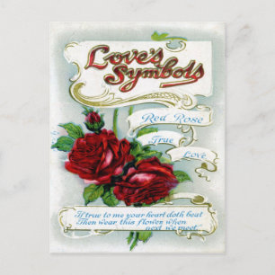 Liefde Symbolen Briefkaart