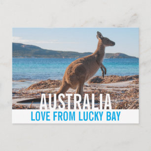 Liefde uit Australië Kangaroo Lucky Bay Foto Briefkaart