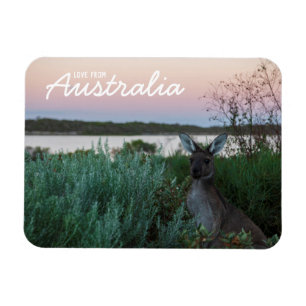 Liefde uit Australië Kangaroo Sunset Lake Magnet Magneet