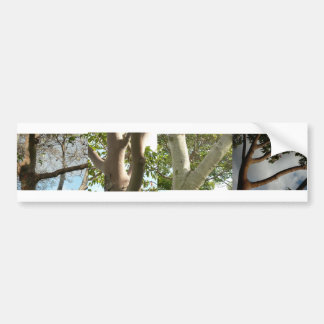 LIEFDE, uitgespeld door bomen Bumpersticker