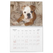 Liefde van Bulldog Calander Kalender (Mar 2027)