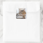 Liefde van Cat met Heart Square Envelope Sticker (Tas)