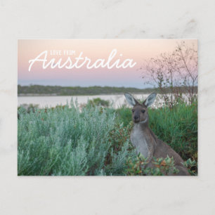 Liefde van het Australische Briefkaart Kangaroo Su