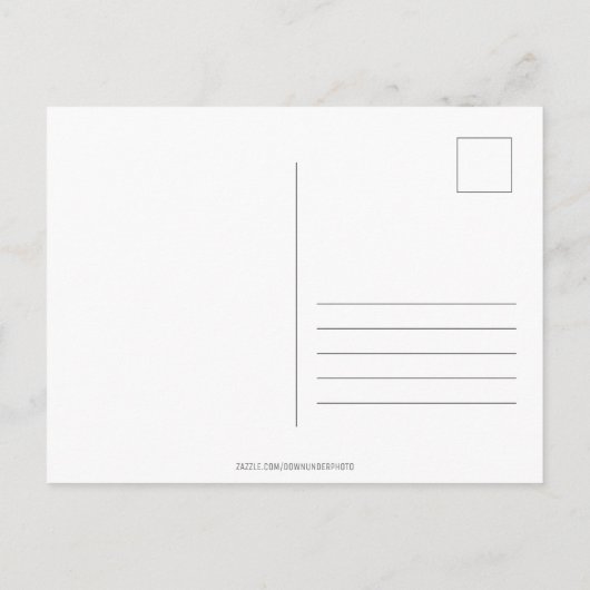 Liefde van het Australische Briefkaart Kangaroo Su (Achterkant)