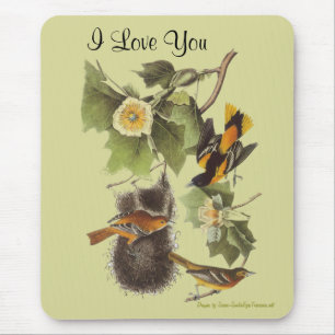 Liefde van jullie Audubon Birds Persoonlijke Mouse Muismat
