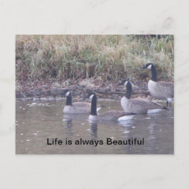 Liefde van Natuur Briefkaart