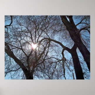 Liefde van Natuur Poster