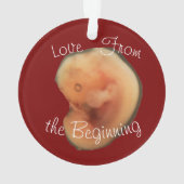 Liefde vanaf het begin ornament (achterkant)