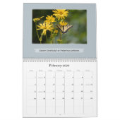 Liefde Vlinders Vlinder en Bloem Fotografie Kalender (Feb 2026)